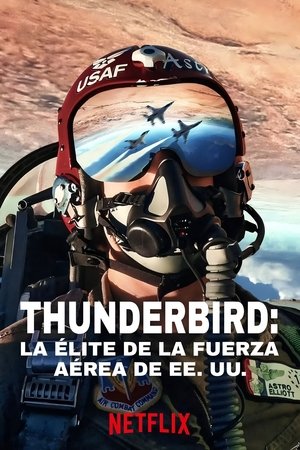 Air Force Elite Thunderbirds Netflix Original (2025)