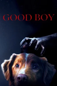 Good Boy (2025)