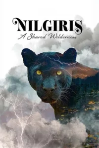 Nilgiris – A Shared Wilderness (2026)