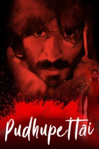 Pudhu Pettai (2006)