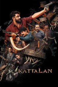 kattalan-2026
