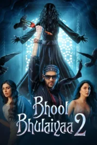 Bhool Bhulaiyaa 2 – Netflix Original (2022)