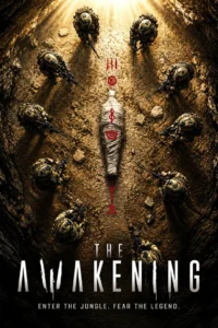 The Awakening (2026)